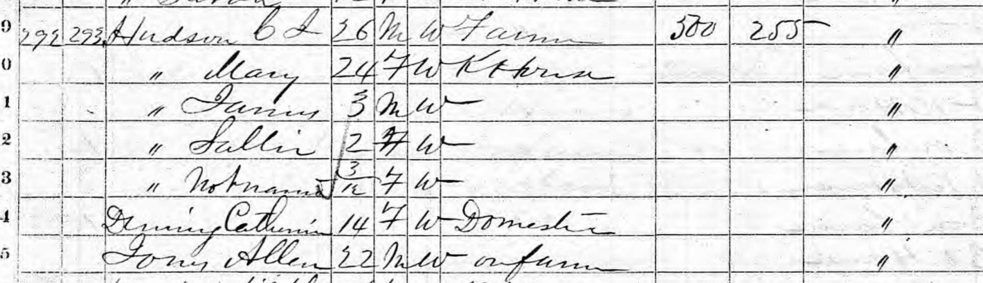 1870 Census - Grantham Township, Wayne Co., NC. - Coleman Jarred Hudson (Excerpt)