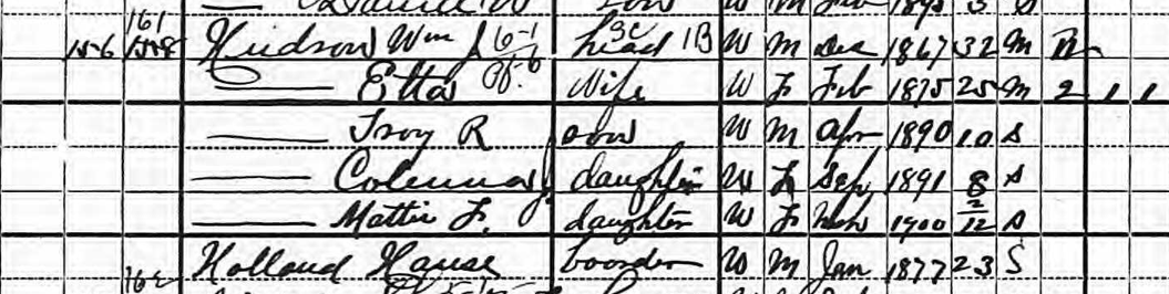 1900 Census - Halls Township, Sampson Co., NC. - William James Hudson (Excerpt)